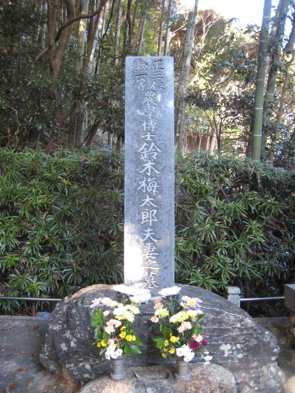 鈴木梅太郎先生の墓