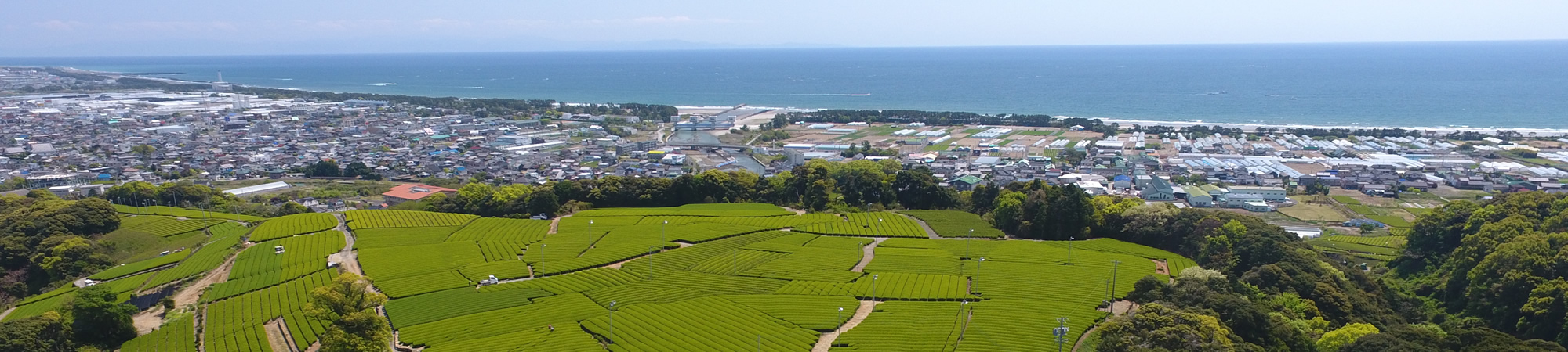 静岡牧之原茶　スライド1枚目