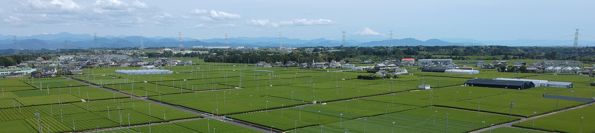 静岡牧之原茶　スライド2枚目