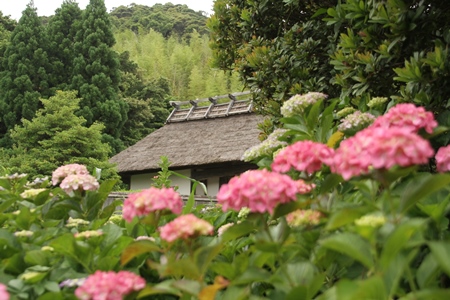 大鐘家（おおがねけ）の画像