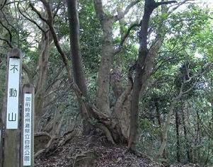 不動山の画像