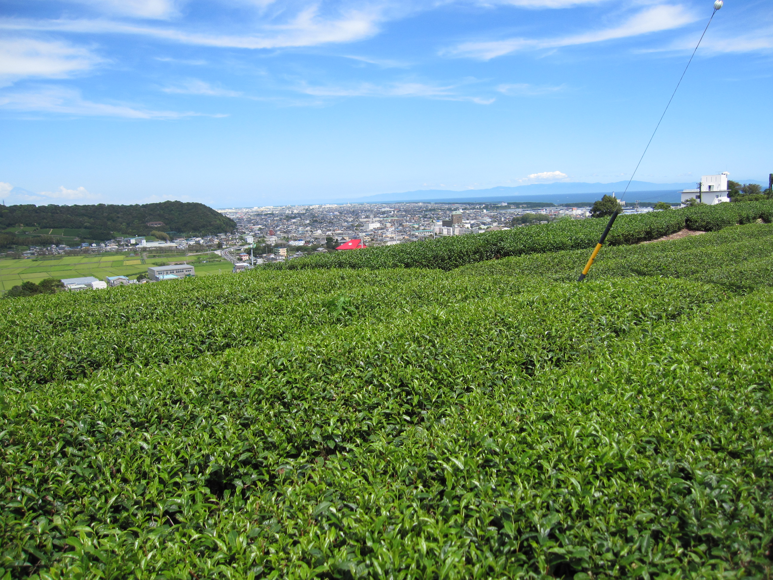 県道菊川榛原線戸塚坂付近（勝俣）の画像