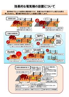 鳥獣被害対策における電気柵の安全使用についての画像5