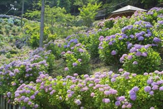 秋葉公園 牧之原市ホームページ