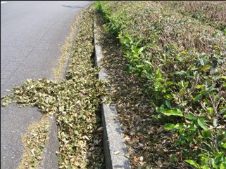 水路や道路側溝の環境保全についての画像