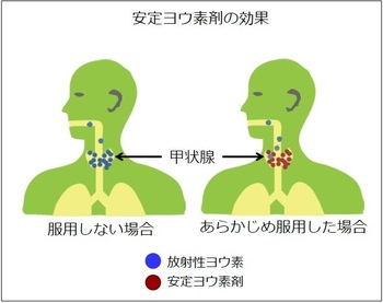 安定ヨウ素剤の効果_1.jpgのサムネイル画像