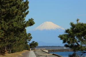 富士の眺めは太田浜