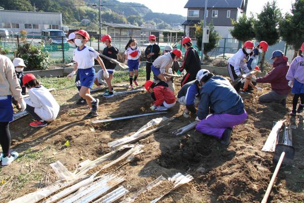 みんなで頑張って掘る様子