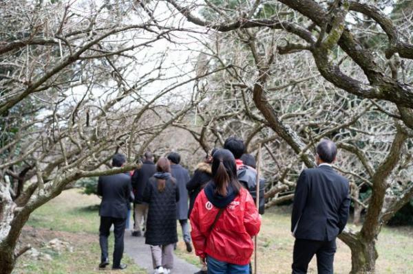 相良梅園視察の様子