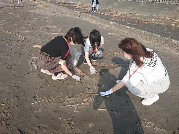海岸清掃を行う学生