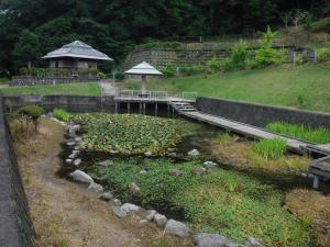 かりんぽの里　景色③
