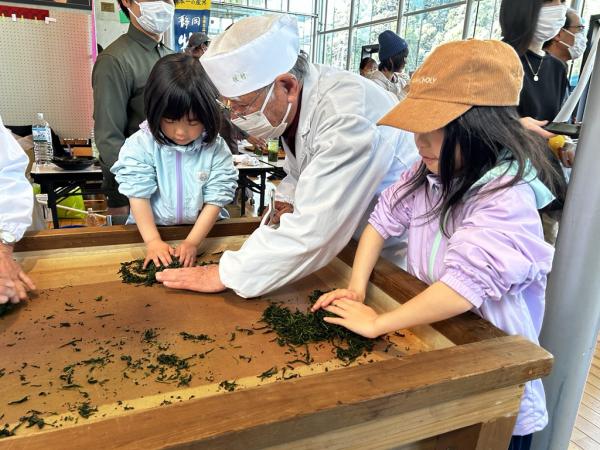 手揉み保存会によるお茶の手揉み実践の様子