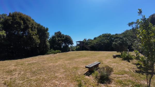 榛原公園