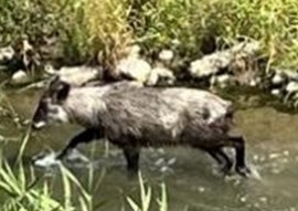 出典:牧之原市HP