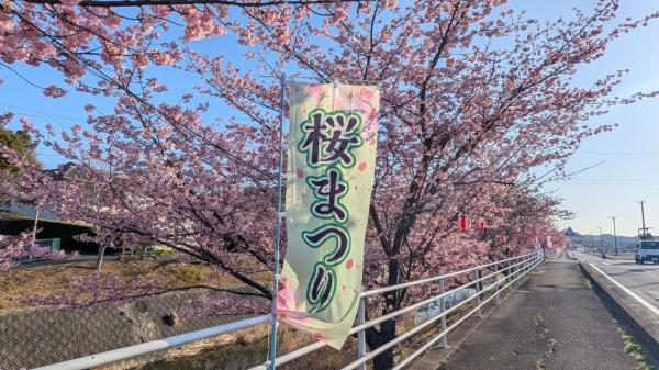 サクチヤガワサクラマツリ１