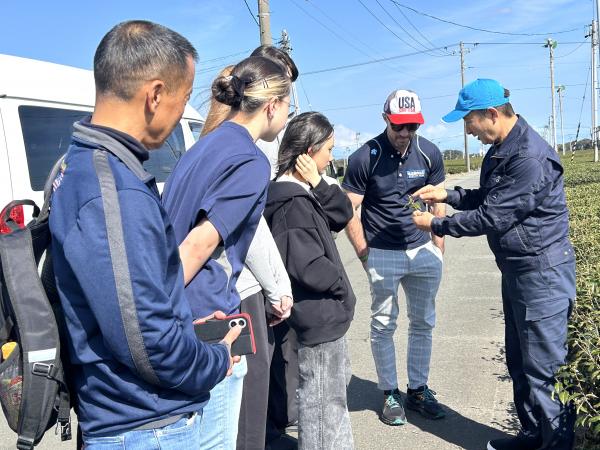 HIS交流事業（茶畑見学）