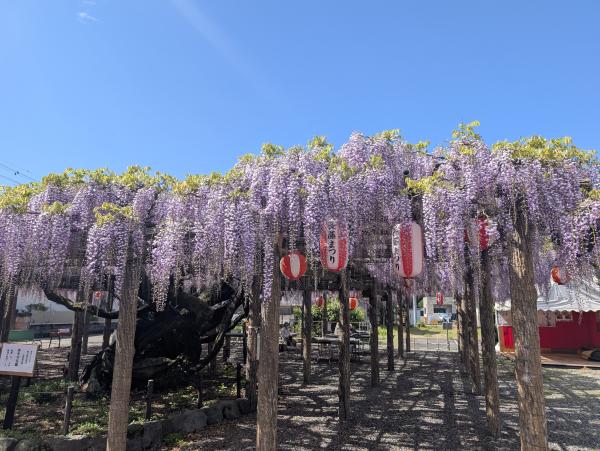 トウコウジ　ナガフジ1