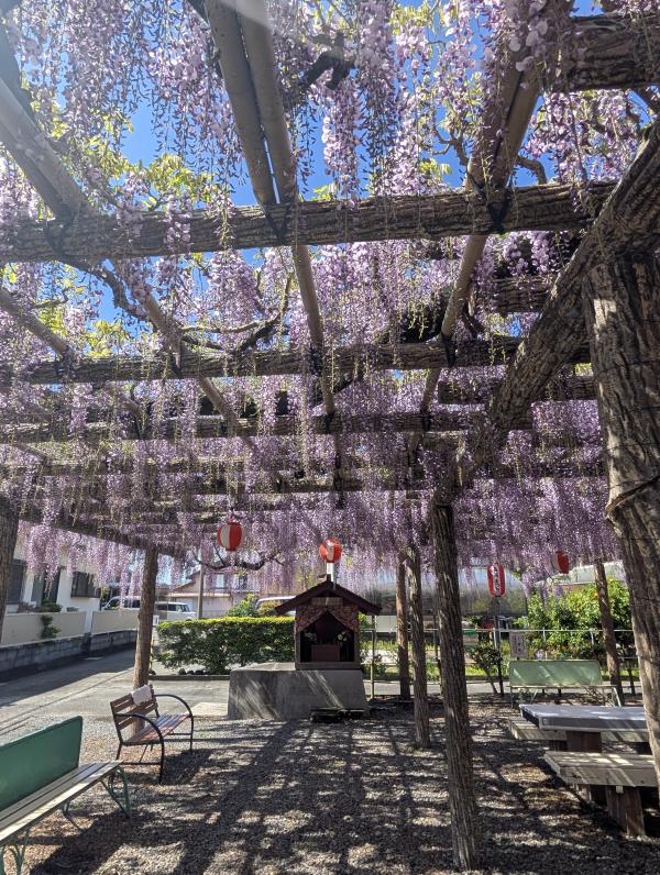 トウコウジ　ナガフジ2