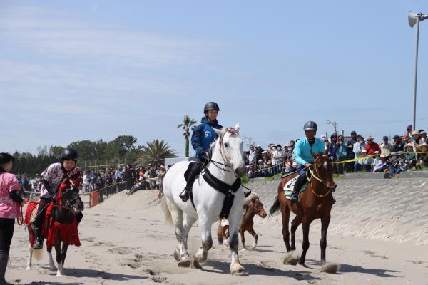 さがら草競馬２
