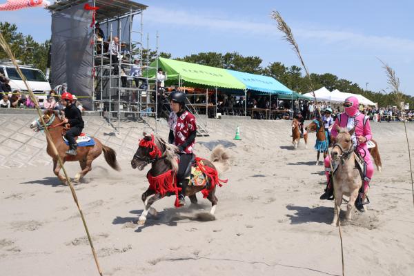 さがら草競馬３