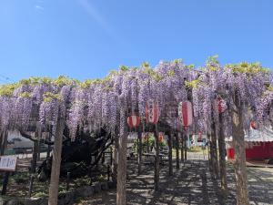 トウコウジ ナガフジ1