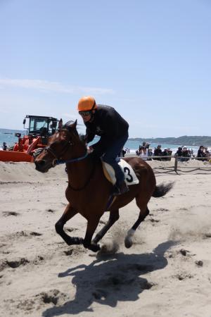 さがら草競馬１